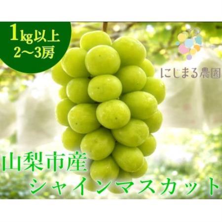 [2026年発送]シャインマスカット 2〜3房 (約1kg) 山梨県山梨市産のフルーツ[配送不可地域:離島・沖縄県]