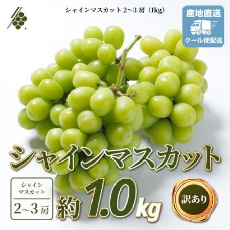 シャインマスカット 2〜3房 計1kg 訳あり ご家庭用[配送不可地域:離島・沖縄県]