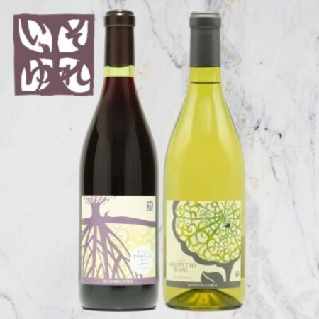 旭洋酒　ルージュ クサカベンヌ/グルペット ブラン　720ml×2本セット【1718022】