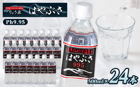 傤͂Ԃ@995q500ml×24{ry1031769z