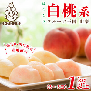 2026年先行受付　山梨県産 桃 白桃系 1kg以上(3～5玉) フルーツ王国・山梨県から産地直送【配送不可地域：離島・沖縄県】【1137261】