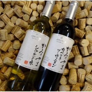 ワイン サントネージュワインが贈る シャルドネ カベルネソーヴィニヨン 2本 セット