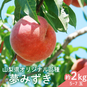 [数量限定]フルーツ王国やまなし県限定品種桃「夢みずき」約2kg ギフト箱入り[配送不可地域:離島]