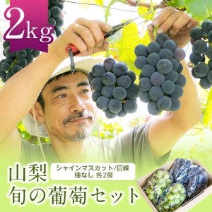 シャインマスカット 巨峰 各2房 旬の葡萄セット2kg (種なし)[配送不可地域:離島]