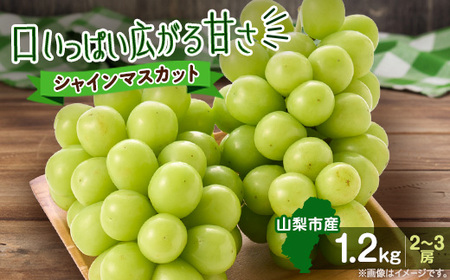 ݂VC}XJbg 1.2kg (2`3[)yzsnFEꌧzy1304362z