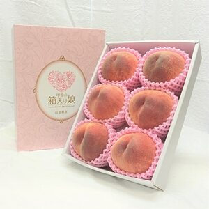 [2026年発送 先行受付]桃 『白桃系さくら』 約2kg 5〜8玉 朝もぎ 直送! 選び抜かれた桃[配送不可地域:離島]