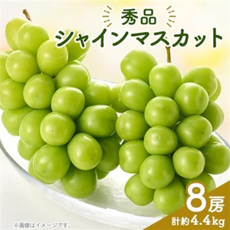 シャインマスカット(8房)【配送不可地域：離島】【1300099】