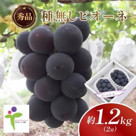種なしピオーネ(2房)/80【配送不可地域：離島】【1300105】