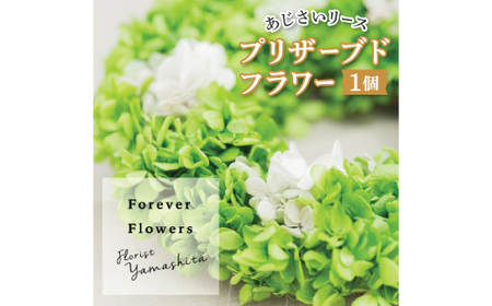 プリザーブドフラワー 紫陽花 グリーン リース