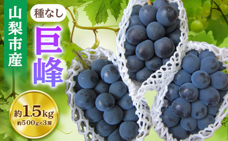 y2026NstzRsYu(Ȃ)vlߍ킹(500g×3[)yzsnFEꌧzy1117300z