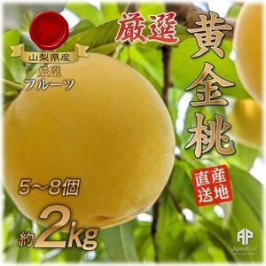 山梨市産　黄金桃　約2kg(5～8玉)【配送不可地域：離島】【1431879】