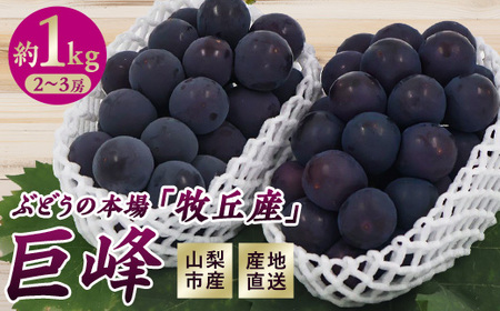 RsY@quY@2[@1.0kg(2`3[)yzsnFzy1431884z