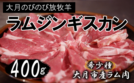 匎̂т̂ѕqryWMXJz؂400g(200g×2pbN)y1087-021z