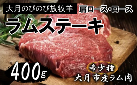 匎̂т̂ѕqryXe[Lz400g([X200g [X200g)