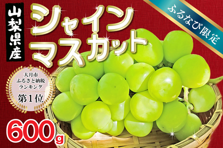 [ふるなび限定][2025年収穫分先行予約] シャインマスカット 600g ＼山梨県産 国産 / 特選 おすすめ 人気 予約 ギフト 産地直送 ぶどう 葡萄 果物 フルーツ くだもの シャイン マスカット お届け 贈答 新鮮 さんちゃんファーム