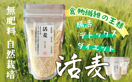 自然栽培 二条大麦 「活麦」 大月産 200g×3パック