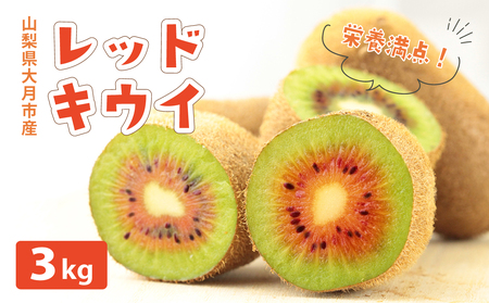 [先行予約]ご家庭用 国産レッドキウイ(小玉) 3kg 2025年10月より順次発送