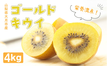 [先行予約]ご家庭用 国産ゴールドキウイ(小玉) 4kg 2025年10月より順次発送