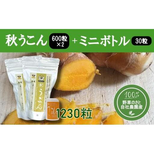 秋うこん600粒（2パック）+ミニボトル30粒入