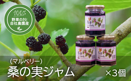 桑の実ジャム150g(3個)