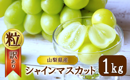 �y2026�N�����z�V���C���}�X�J�b�g �󂠂�ƒ�p �� �ɂĂ��͂� ��1kg