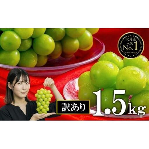 [2026年収穫分先行予約][訳あり] 産地直送シャインマスカット(約1.5kg)
