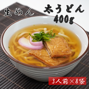 太うどん 生麺400g(3人前)×8袋