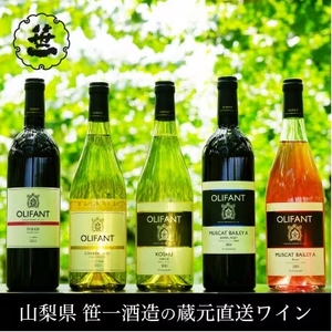 [蔵元直送]笹一酒造のOLIFANT(オリファン)ワイン おすすめ5本セット