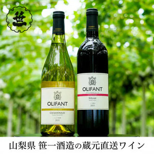 [蔵元直送]笹一酒造のOLIFANT(オリファン)ワイン[シャルドネ ・シラー]セット