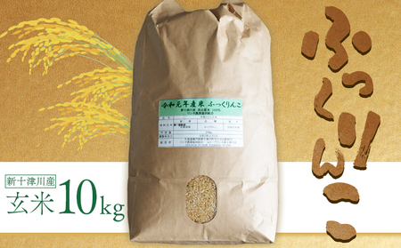 yߘa7NxYzӂ񂱌 (10kg)y1101805z