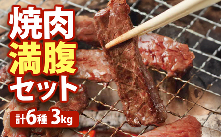 大畠精肉店の焼肉満腹セット(計6種3kg)[13011]