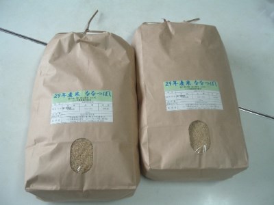 8601　ななつぼし玄米定期便（15kg×６回）