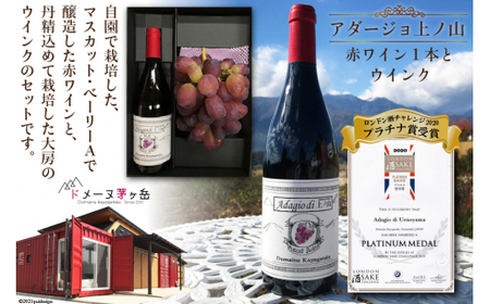 [2025年発送]ぶどう ワイン セット アダージョ上ノ山 赤ワイン 750ml 1本 と ウインク 1房 山梨 やまなし お酒 酒 ブドウ 葡萄 ワインぶどう フルーツ 果物 期間限定 季節限定 冷蔵 [ドメーヌ茅ヶ岳 山梨県 韮崎市 20742801]