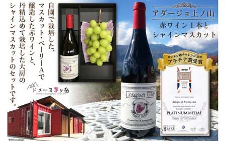 [2025年発送]ぶどう ワイン セット アダージョ上ノ山 赤ワイン 750ml 1本 シャインマスカット 1房 シャインマスカット 山梨 やまなし ワインぶどう ブドウ 葡萄 フルーツ 果物 お酒 酒 期間限定 季節限定 冷蔵 [ドメーヌ茅ヶ岳 山梨県 韮崎市 20743387]