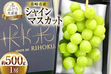 [2025年発送] 先行受付 シャインマスカット 2025 予約 一房 500g〜 600g マスカット 山梨 ぶどう ブドウ 葡萄 果物 くだもの フルーツ 期間限定 季節限定 産地直送 山梨県産 数量限定 [梨北農業協同組合 山梨県 韮崎市 20743010]