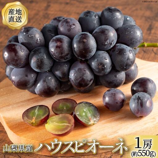 ぶどう 山梨県産 ハウスピオーネ 1房 約550g [2026年発送] [全国農業協同組合連合山梨県本部 山梨県 韮崎市 20742854]