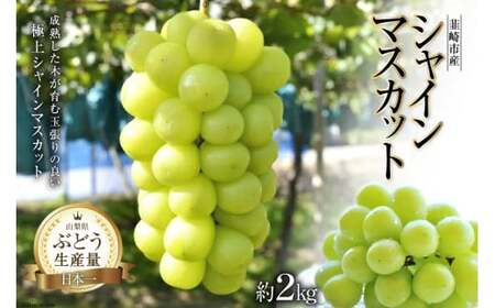[2025年発送]先行受付 シャインマスカット 2025 予約 約 2kg 上級グレード マスカット 山梨 ぶどう ブドウ 葡萄 果物 くだもの フルーツ 2キロ 期間限定 季節限定 産地直送 山梨県産 [梨北農業協同組合 山梨県 韮崎市 20743009]