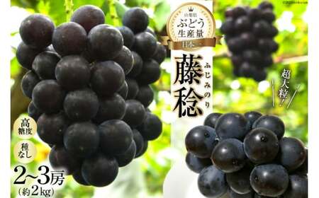 ぶどう 2026年発送 藤稔 約 2kg [20743008] ぶどう
