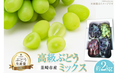 [2025年発送]ぶどう 先行予約 高級 ミックス(シャイン入り)おまかせ 食べ比べ 約 2kg 山梨 山梨 ブドウ 葡萄 マスカット 種なし 果物 フルーツ 2キロ 山梨県産 産地直送 期間限定 季節限定 冷蔵[フルーツランド平賀 山梨県 韮崎市 20742832]