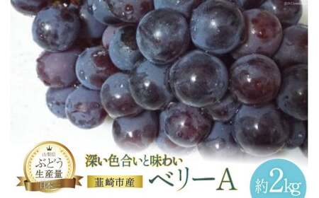 [2025年発送] ぶどう ベリーA 約 2kg 山梨 やまなし ぶどう ブドウ 葡萄 マスカット 種なし ワイン 果物 フルーツ 2キロ 山梨県産 産地直送 期間限定 季節限定 冷蔵 [フルーツランド平賀 山梨県 韮崎市 20742838]