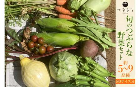 【期間限定発送】旬のつぶらな野菜セット 5～9品種前後 80サイズ分 [つぶらな 山梨県 韮崎市 20741895] 野菜 季節野菜 食べきりサイズ ミニ品種 冷蔵