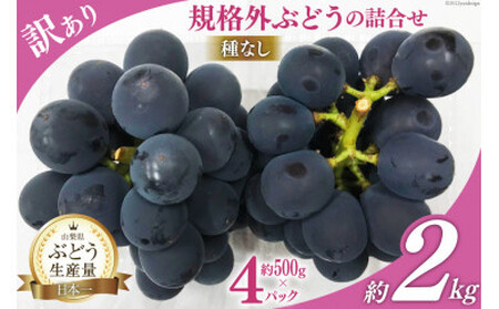 訳あり 山梨県産 種なし ぶどう 500g×4p 約2kg [梨北農業協同組合 山梨県 韮崎市 20743331] ブドウ 葡萄 規格外 家庭用 食べ頃 旬 フルーツ 果物
