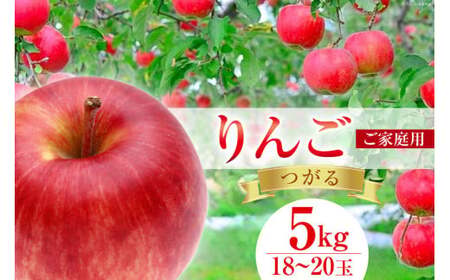 �y2026�N�����z �y ���ʌ��� �󂠂� �z �ƒ�p ��� ���� 5kg 18�`20�� [�����񂲉� �R���� �B��s 20743083]