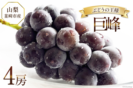 y2026NzԂǂ st   450g 4[ v 1.8kg [Inakakara R Bs 20745261]