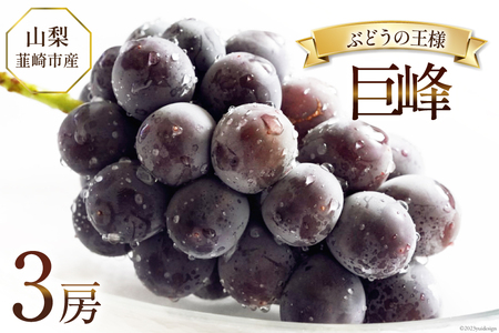 [2025年発送]ぶどう 先行受付 巨峰 約 450g 3房 計約 1.35kg 山梨 山梨 韮崎市産 フルーツ 果物 ブドウ 葡萄 山梨県産 産地直送 期間限定 季節限定 冷蔵 [Inakakara 山梨県 韮崎市 20743502]