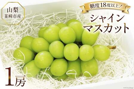 [2025年発送]ぶどう シャインマスカット 2025 予約 約 550g 1房 山梨 韮崎市産 フルーツ 果物 ブドウ 葡萄 山梨県産 産地直送 期間限定 季節限定 冷蔵 [Inakakara 山梨県 韮崎市 20743492]