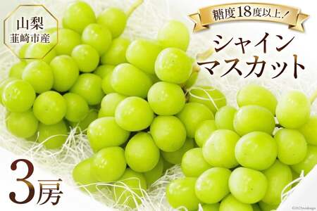 [2025年発送]ぶどう シャインマスカット 2025 予約 約 550g 3房 計約 1.6kg 山梨 韮崎市産 フルーツ 果物 ブドウ 葡萄 山梨県産 産地直送 期間限定 季節限定 冷蔵[Inakakara 山梨県 韮崎市 20743494]