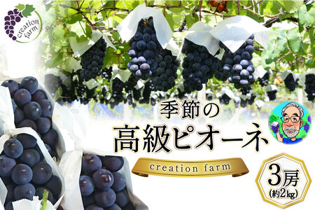 [2025年発送]ピオーネ 2kg 山梨 季節のぶどう ピオーネ高級 3房 約2kg [8月下旬〜9月上旬お届け] ぶどう ブドウ 葡萄 大粒 2キロ 果物 フルーツ くだもの 季節限定 期間限定 数量限定 冷蔵 送料無料 [Creation farm 山梨県 韮崎市 20743253]