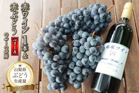 [2025年発送] ぶどう ワイン 山梨県 穂坂産 赤ワイン 750ml 1本 赤ぶどう ベーリーA 2〜3房 酒 ワイン セット 山梨 やまなし フルーツ 果物 葡萄 ブドウ 赤ワイン 山梨県産 産地直送 期間限定 季節限定 冷蔵 [フルーツランド平賀 韮崎市 20742839]