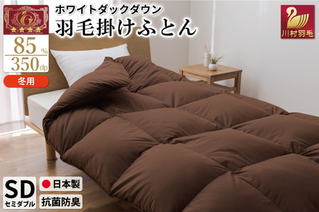 [冬用]羽毛布団 本掛け セミダブル ホワイトダックダウン 85% 1.4kg(無地 ブラウン)[川村羽毛 山梨県 韮崎市 20742904] 布団 日本製 エクセルゴールドラベル 抗菌 防臭 羽毛 ふとん フトン 寝具 日用品 本掛け